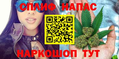 ГАЛЛЮЦИНОГЕННЫЕ ГРИБЫ Можга