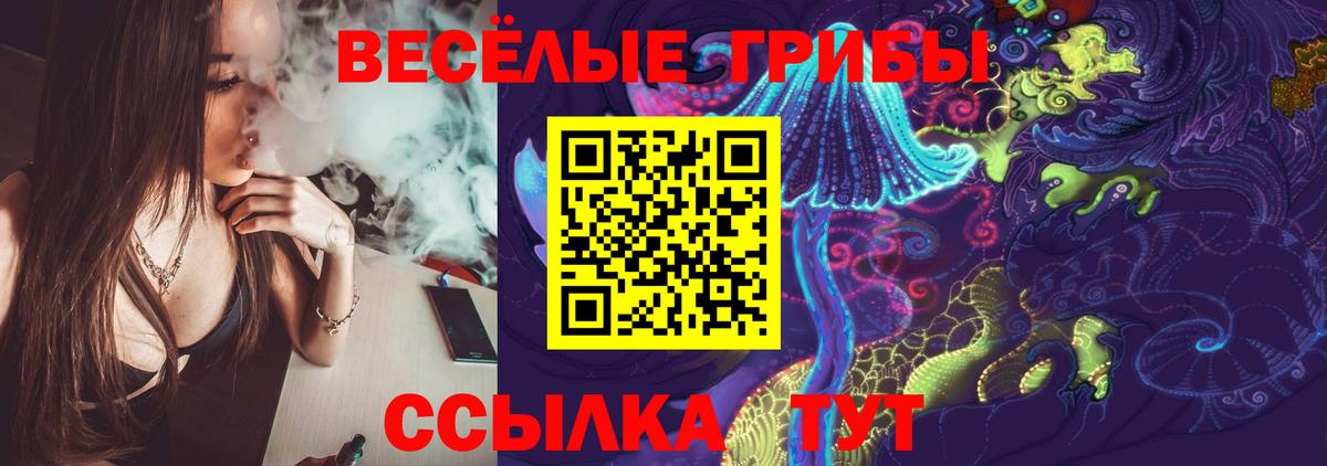 Галлюциногенные грибы Cubensis Уссурийск